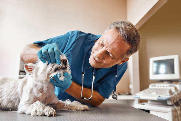 Best Broken Tooth Emergency  in Fort Branch, IN